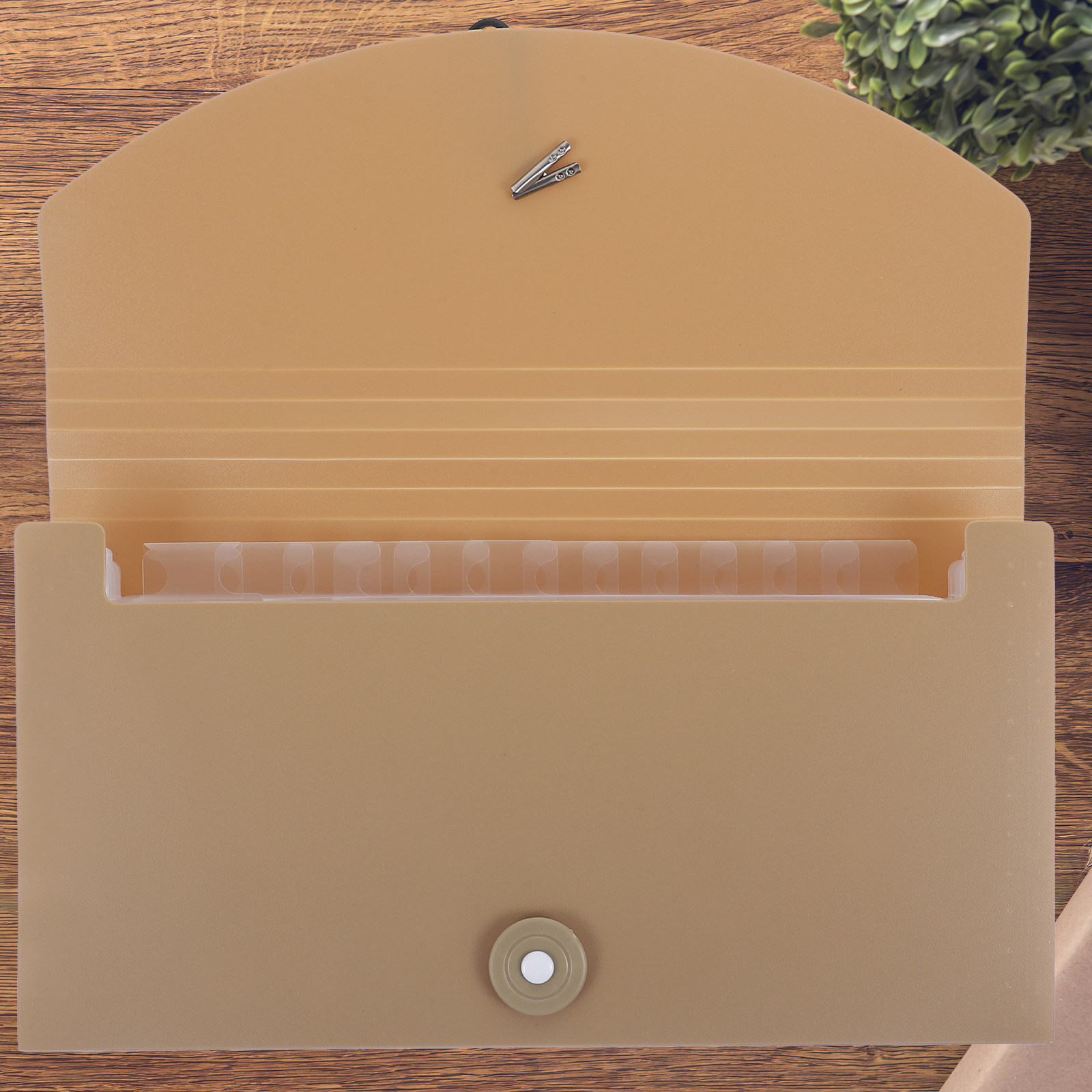 13개의 포켓이 있는 확장형 파일 폴더, 휴대용, 탄성 - Expandable Accordion File Folder 13 Pockets 리뷰 및 가격